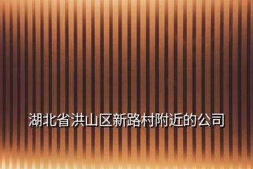 湖北省洪山区新路村附近的公司