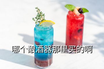 哪个酿酒器那里买的啊