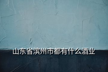 山东省滨州市都有什么酒业