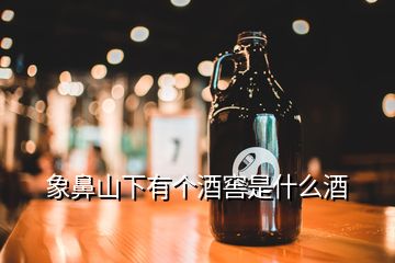 象鼻山下有个酒窖是什么酒