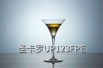 圣卡罗UP123FPE