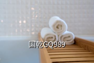 国乾GQ989