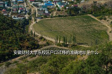 安徽财经大学东校区户口迁移的准确地址是什么