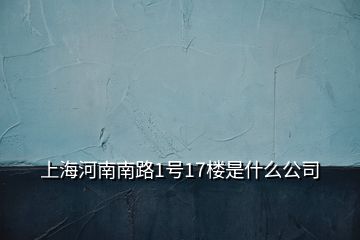 上海河南南路1号17楼是什么公司