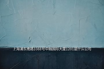 上海浦东南路1088号中融国际大厦1201是什么公司