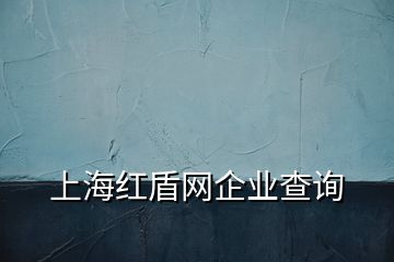 上海红盾网企业查询