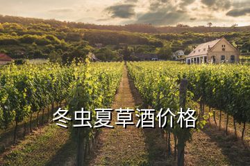 冬虫夏草酒价格