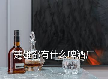 楚雄都有什么啤酒厂