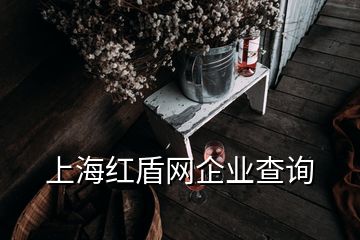 上海红盾网企业查询