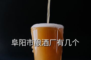 阜阳市酿酒厂有几个