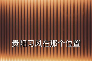 贵阳习风在那个位置