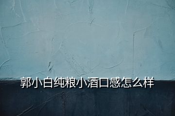 郭小白纯粮小酒口感怎么样