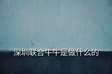 深圳联合牛牛是做什么的