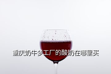 重庆奶牛梦工厂的酸奶在哪里买