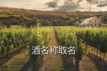 酒名称取名