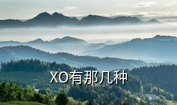 XO有那几种