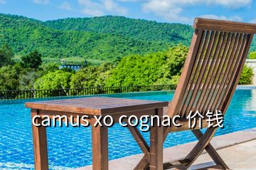 camus xo cognac 价钱