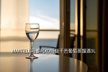 MARTELL马爹利XO特级干邑葡萄蒸馏酒3L