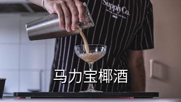 马力宝椰酒