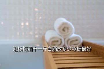 泡杨梅酒十一斤白酒放多少冰糖最好