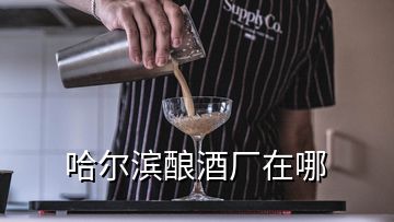 哈尔滨酿酒厂在哪