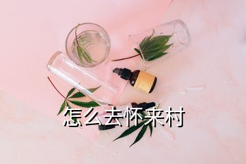 怎么去怀来村