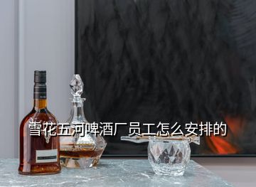 雪花五河啤酒厂员工怎么安排的