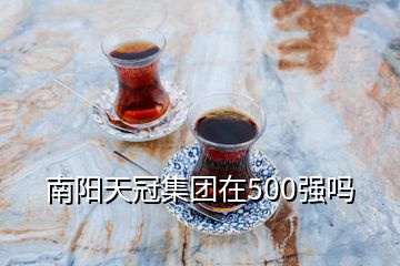 南阳天冠集团在500强吗