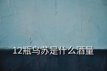 12瓶乌苏是什么酒量