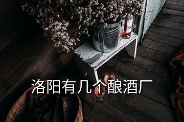 洛阳有几个酿酒厂