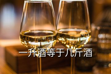 一升酒等于几斤酒