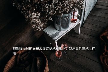 邯郸临漳县的五粮液灌装基地和永不分梨酒业具体地址在哪