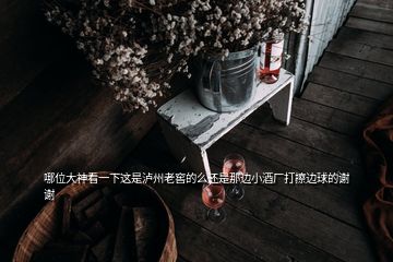 哪位大神看一下这是泸州老窖的么还是那边小酒厂打擦边球的谢谢