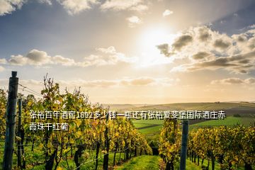 张裕百年酒窖1892多少钱一瓶还有张裕爱斐堡国际酒庄赤霞珠干红葡