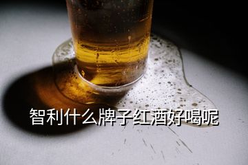 智利什么牌子红酒好喝呢