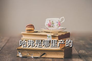 哈弗是哪里产的