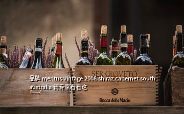 品牌 meritus vintage 2008 shiraz cabernet south australia 请专家看看这