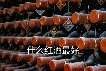 什么红酒最好