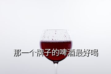 那一个牌子的啤酒最好喝