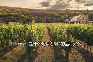 las casas是什么葡萄酒A18的品种好么