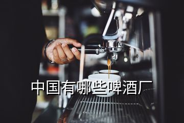 中国有哪些啤酒厂