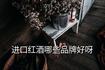 进口红酒哪些品牌好呀