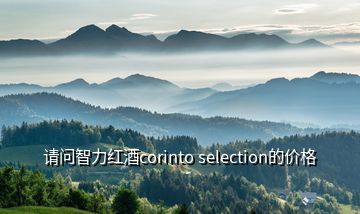 请问智力红酒corinto selection的价格