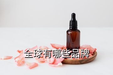 全球有哪些品牌