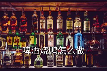 啤酒烧鸭怎么做