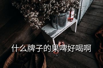 什么牌子的果啤好喝啊