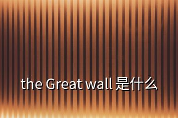 the Great wall 是什么