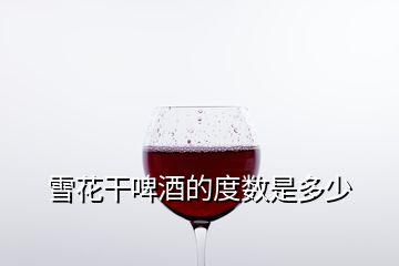 雪花干啤酒的度数是多少