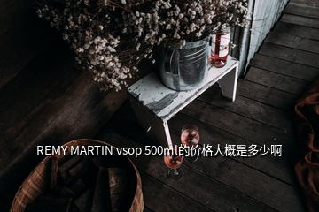 REMY MARTIN vsop 500ml的价格大概是多少啊