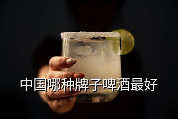 中国哪种牌子啤酒最好